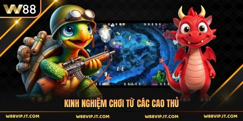 Kinh nghiệm chơi từ các cao thủ