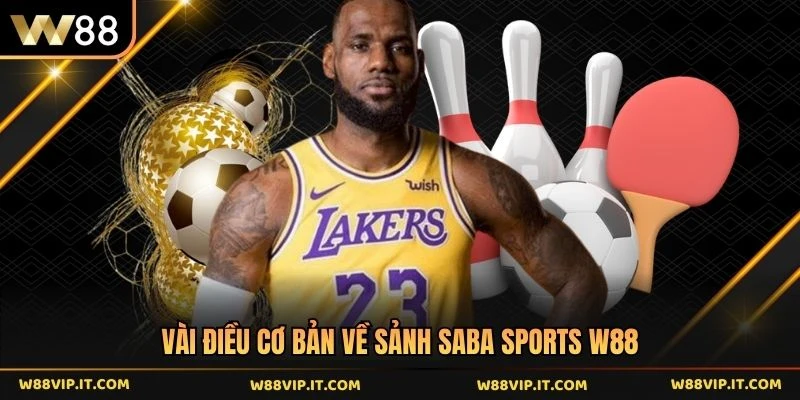 Vài điều cơ bản về sảnh Saba sports W88